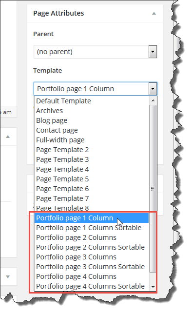 portfolio template