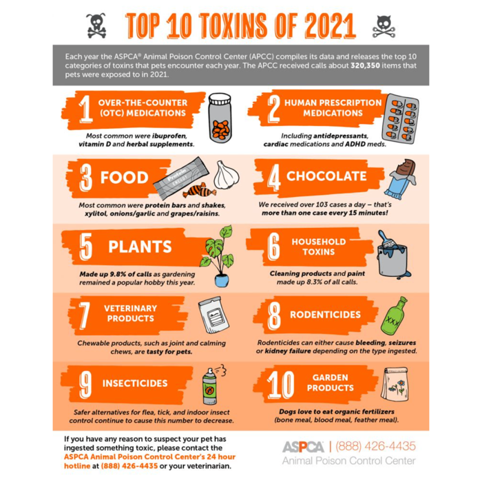 Top 10 Pet Toxins of 2021